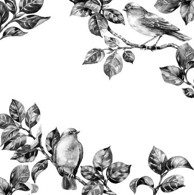 Songbird dalları tek renkli çerçeve üzerinde