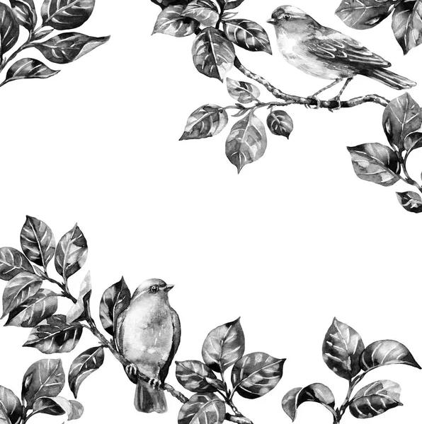 Songbird em ramos quadro monocromático — Fotografia de Stock