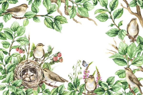 Cadru floral cu păsări pe ramuri — Fotografie, imagine de stoc