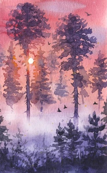 Este a táj, naplemente- és tűlevelű fák — Stock Fotó