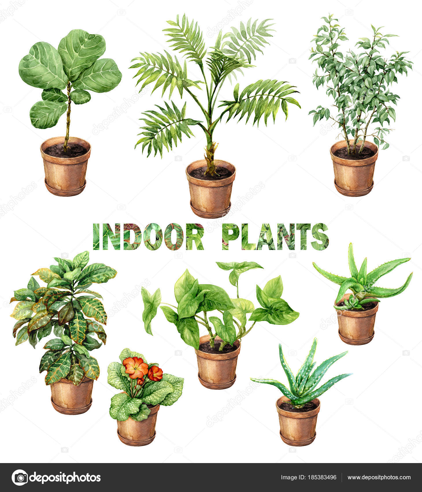Watercolor Indoor Pot Plants Stock Photo C Valiva 185383496
