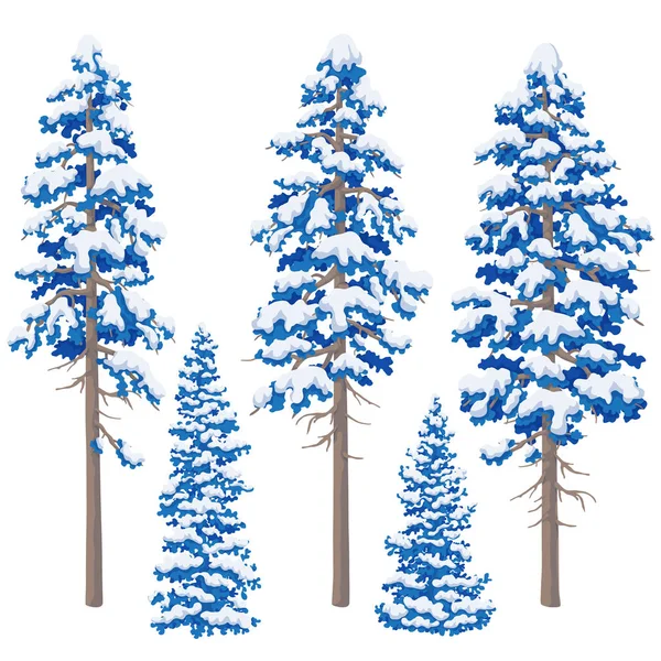 Vinter barrträd Set. — Stock vektor