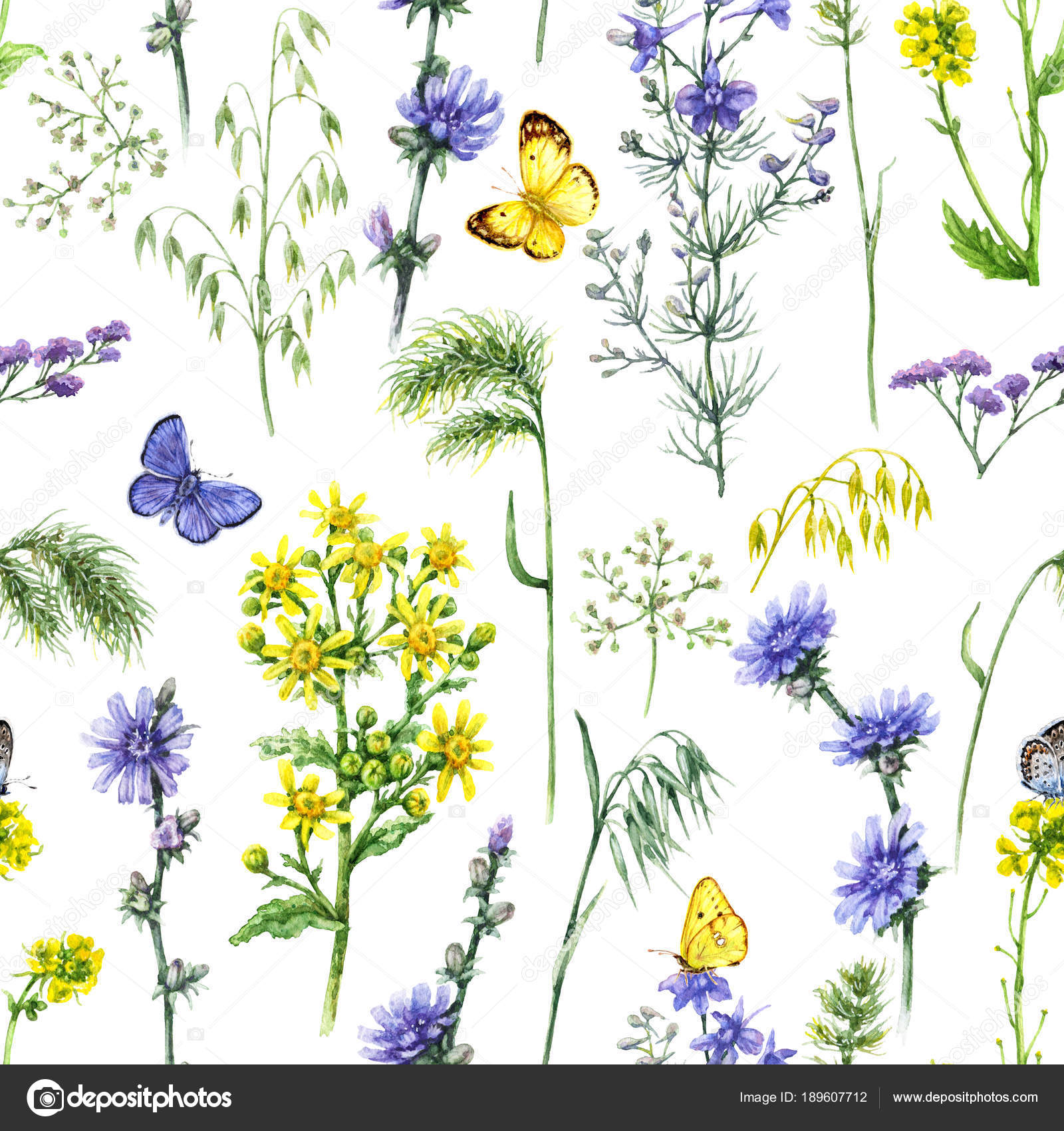 Dessin de fleurs de champ bleu et jaune\u2013 images de stock libres de droits