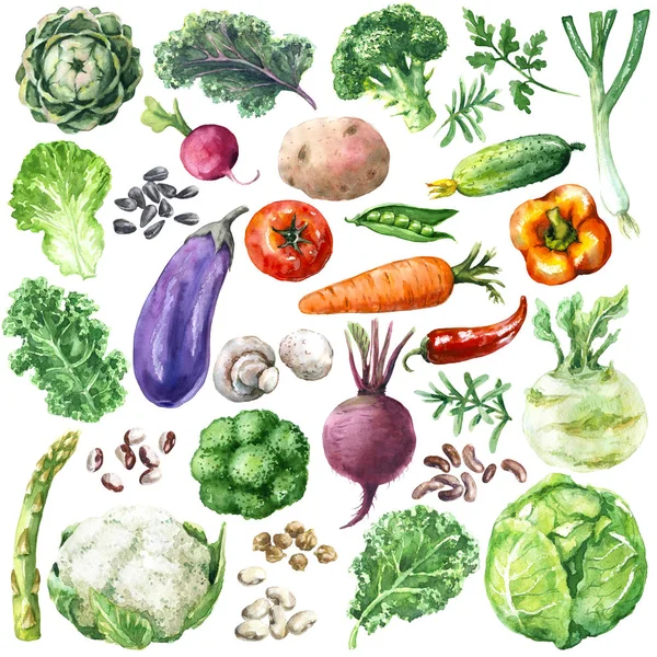 Watercolor  Vegetables Set — Stock Photo, Image