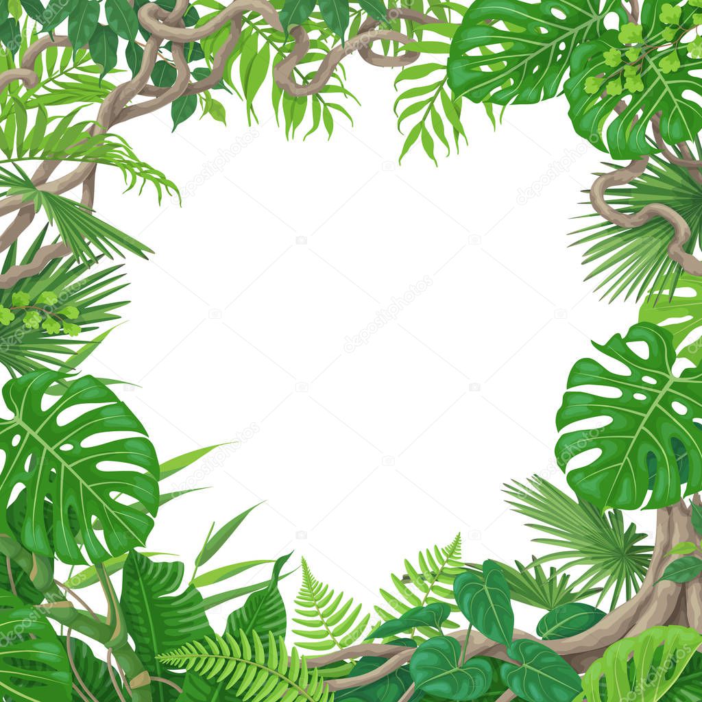 Square Frame with Tropical Plants and Liana — Stock Vector © Valiva