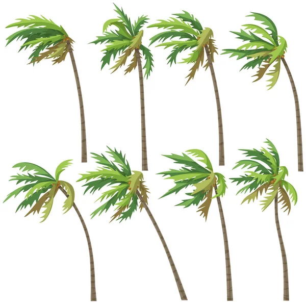 Palme tropicali sulla tempesta di vento — Vettoriale Stock