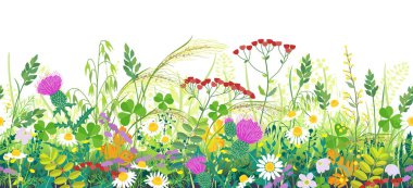 Summer Meadow Bitkileri Kusursuz Sınır
