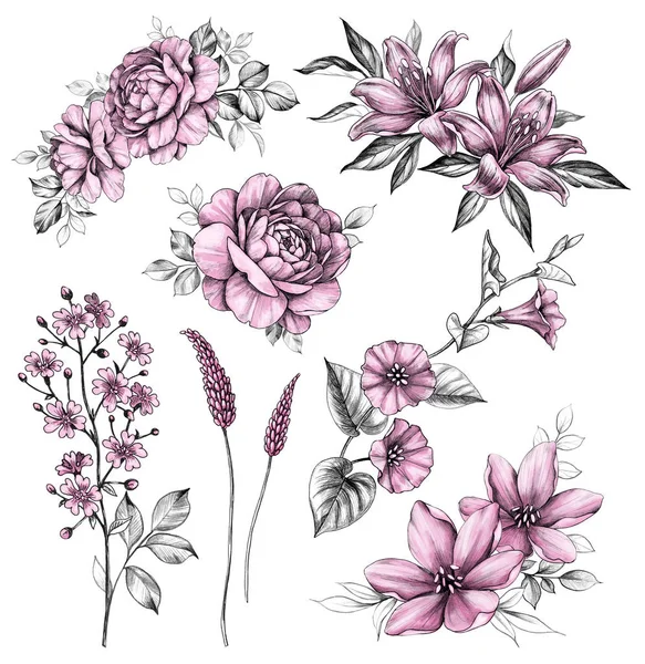 手描きの美しいピンクの花セット — ストック写真