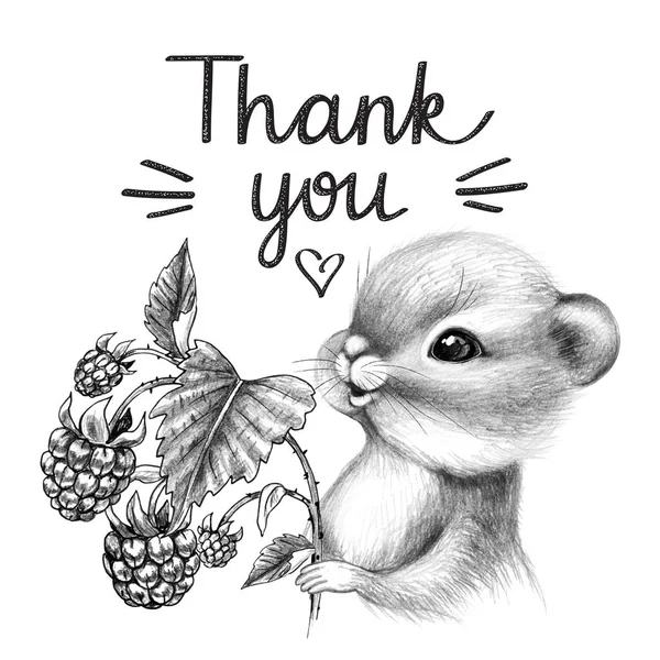Tangan Drawn Cute Chipmunk Holds Raspberries — Stok Gambar Tangan Drawn Cute Chipmunk Holds Raspberries Stok Foto