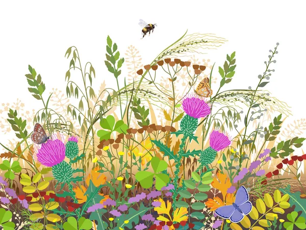 秋の牧草地植物と昆虫 — ストックベクタ