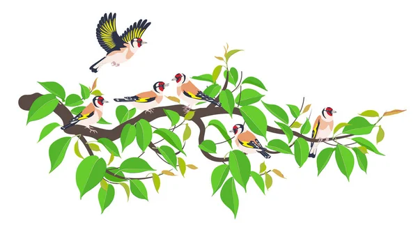 Goldfinch Family  on Tree Branch Vector Flat — Stock Vector