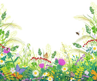 Colorful Frame with Summer Meadow Plants and Insects vector