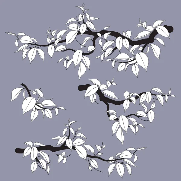 一组简单的小的和大的树枝 叶子孤立在灰色上 单色叶型模板 着色页 部分落叶植物的黑白色矢量图以扁平的形式显示 — 图库矢量图片