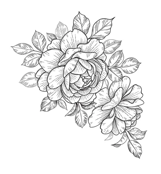 Beyaz Arka Planda Gül Çiçekleri Yapraklarla Çizimi Vektör Çizgisi Sanat — Stok Vektör