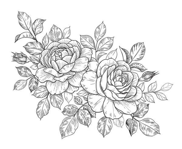 Розовые Цветы Бутоны Листья Выделенные Белом Векторная Линия Искусства Монохромная — стоковый вектор