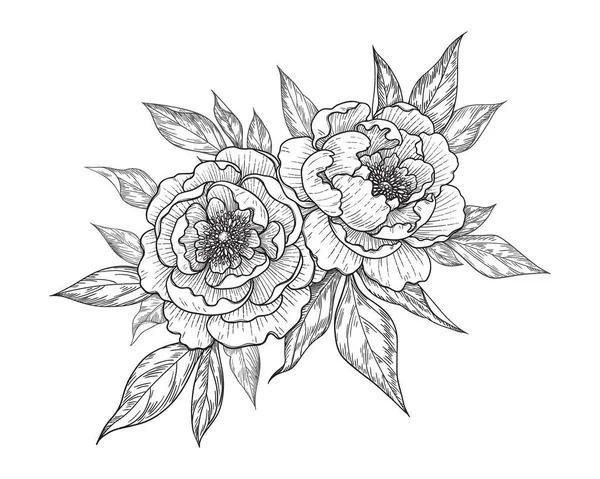 Ручной Рисунок Пиона Цветок Листья Кучу Изолированы Белом Векторная Линия — стоковый вектор