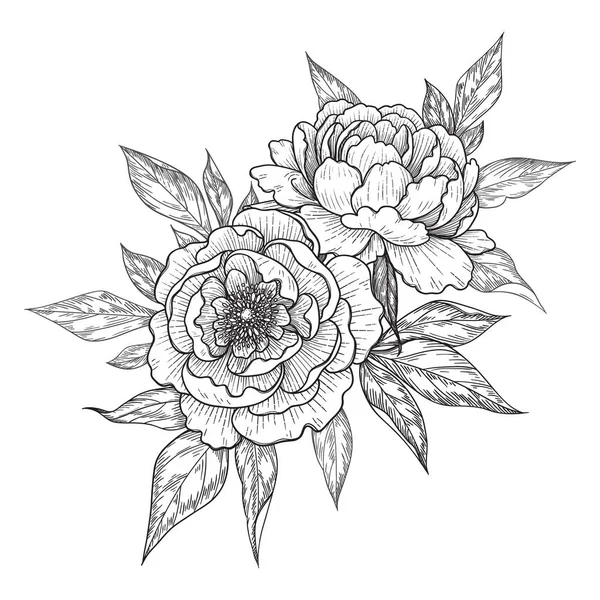 Flores Peonía Dibujadas Mano Hojas Ramo Aislado Blanco Línea Vectorial — Vector de stock