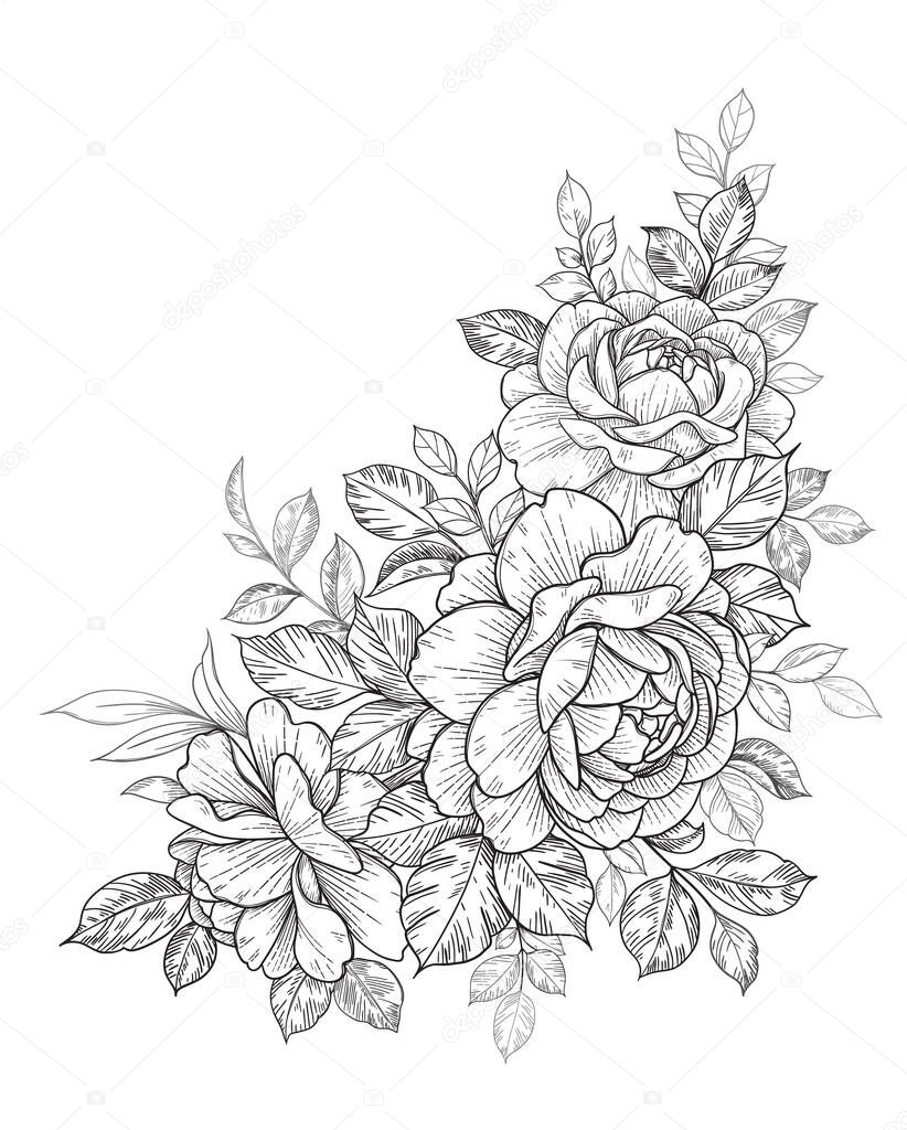 Hand drawn rose flower and leaves bunch isolated on white. Vector line art monochrome elegant floral corner composition in vintage style, t-shirt, tattoo design, coloring page, wedding decoration. 