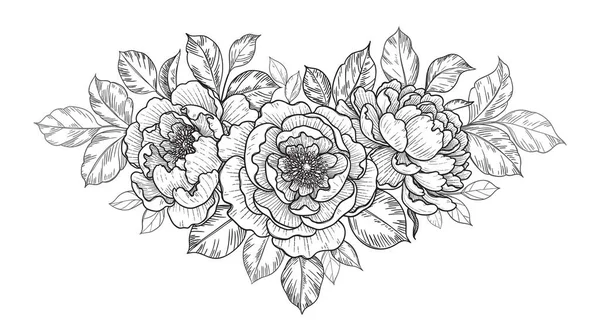 Hand Drawn Peony Flowers Leaves Bunch Isolated White Vector Line — Stock Vector