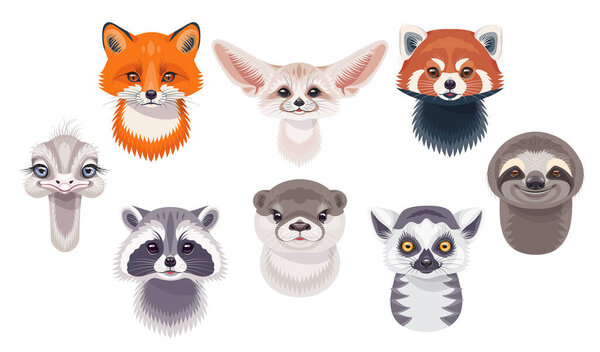 Funny animal faces or heads isolated on white background. Wild animals set. Cartoon cute sloth, red fox, fennec, lemur, red panda, otter, ostrich and raccoon vector flat illustration.