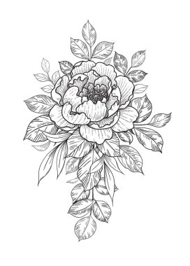 El çizimi çiçek ve yapraklar beyazlar üzerinde izole edilmiş. Vektör çizgisi sanat monokrom zarif çiçek kompozisyonu klasik stil, tişört, dövme tasarımı, renk sayfası, düğün süslemesi.
