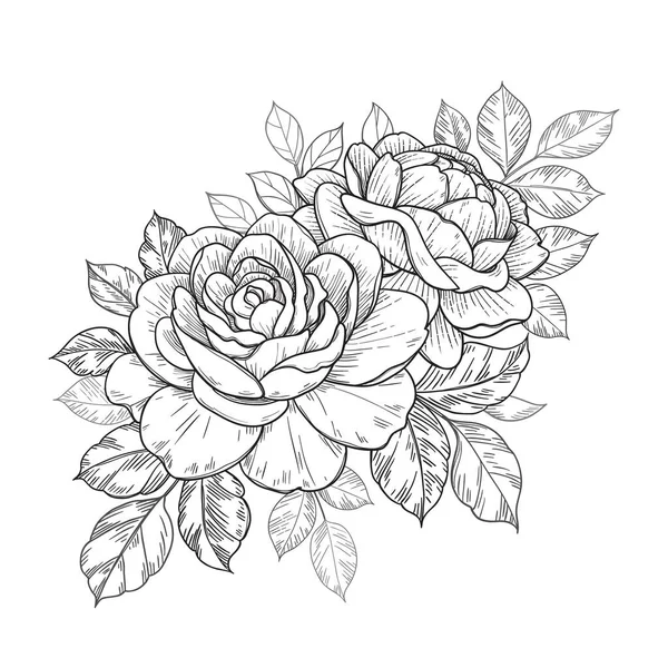 Handgezeichnete Rosenblüten Und Blätterstrauß Isoliert Auf Weiß Vector Monochrom Elegante — Stockvektor