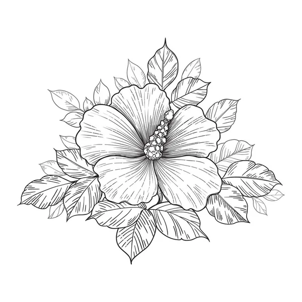 Bouquet Dessiné Main Avec Fleur Hibiscus Feuilles Isolées Sur Blanc — Image vectorielle