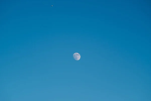 Luna Bianca Contro Cielo Blu Luna Piena Nel Pomeriggio Satellite — Foto Stock
