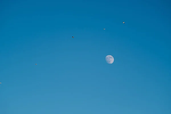 Witte Maan Tegen Blauwe Lucht Volle Maan Middag Satelliet Van — Stockfoto