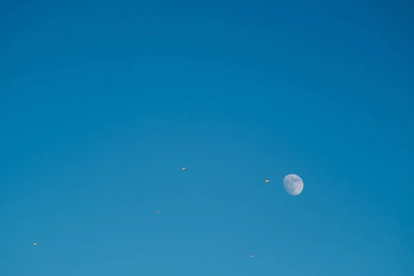 Білий Місяць Проти Блакитного Неба Повний Місяць Вдень Супутник Планети — стокове фото