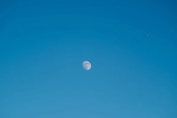 蓝天映衬着白月 下午的满月 行星地球的卫星 寒冷冬日的蓝天 — 图库照片