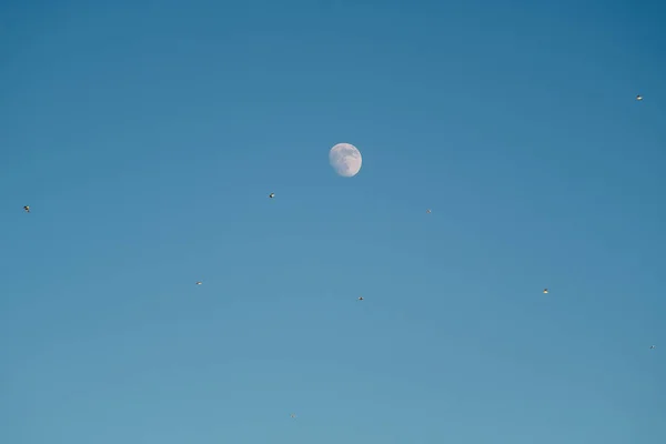 Witte Maan Tegen Blauwe Lucht Volle Maan Middag Satelliet Van — Stockfoto