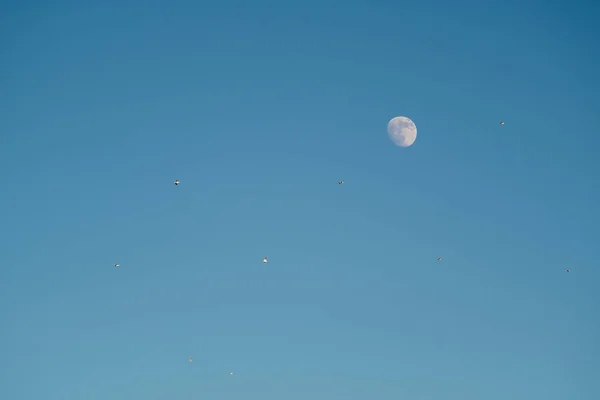 Luna Bianca Contro Cielo Blu Luna Piena Nel Pomeriggio Satellite — Foto Stock