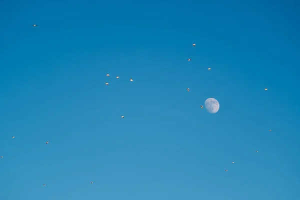 Witte Maan Tegen Blauwe Lucht Volle Maan Middag Satelliet Van — Stockfoto