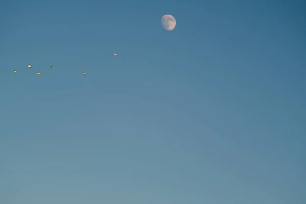 Witte Maan Tegen Blauwe Lucht Volle Maan Middag Satelliet Van — Stockfoto