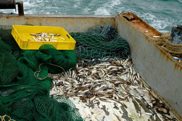 Pescado Cubierta Barco Pesca Peces Pequeños Comerciales Tirados Por Una — Foto de Stock