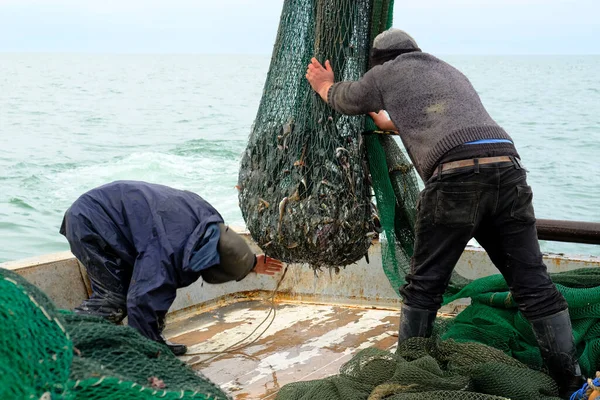 Fishermen at work. Sailors pull the trawl with the catch onto the deck of the seiner. Caught fish inside the net. Fishing tackle. Black Sea. Mainly cloudy.