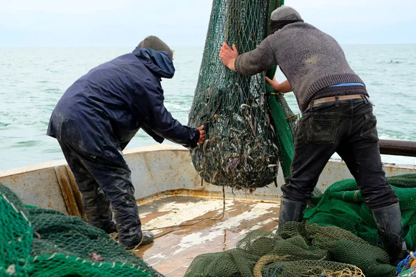 Balıkçılar iş başında. Denizciler balıkçı teknesini falcının güvertesine çeker. Ağın içinde balık yakaladım. Balık oltası. Karadeniz. Genel olarak bulutlu.