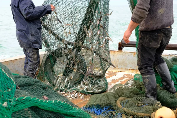 渔民在工作 水手们把拖网渔船和渔获物拖到水手甲板上 在网中钓到鱼 钓具黑海 主要是多云 — 图库照片