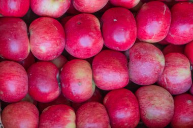 Kutuda çok renkli elmalar var. Piyasada mahsul satmak. Doğal, sağlıklı, vitamin zengini gıdalar. Sağlığa iyi gelir. Çeşitli elma türleri: sarı, kırmızı, yeşil, çeşitli, noktalı.