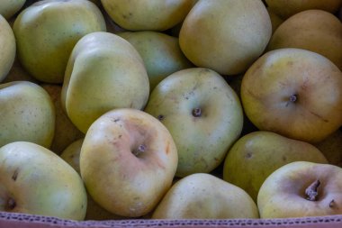 Kutuda çok renkli elmalar var. Piyasada mahsul satmak. Doğal, sağlıklı, vitamin zengini gıdalar. Sağlığa iyi gelir. Çeşitli elma türleri: sarı, kırmızı, yeşil, çeşitli, noktalı.