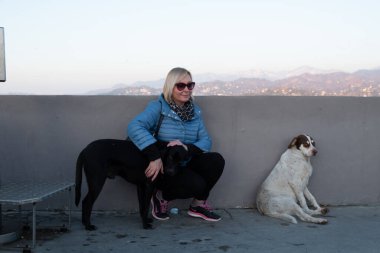 Sokak köpeği bulvarda yatıyor. Gürcistan 'ın Batumi kenti. Yerel yetkililer hayvanları kaydediyor, kayıt tutuyor. Yerel halk köpekleri besliyor.