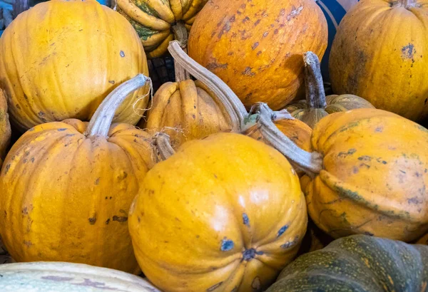 Fresh pumpkin fruits in a crate. Large, ripened vegetables. Selling a crop in the market. Natural, healthy, vitamin-rich foods. Food for health.
