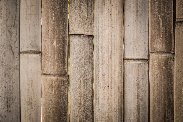 Textural background of bamboo wood. Fence, fencing in a rural house made of bamboo. Its sunny. Georgia.