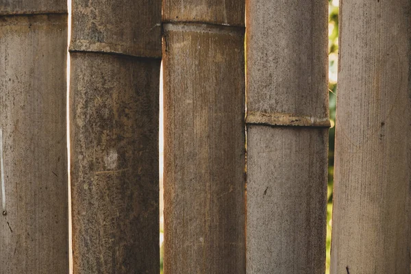 Fundo Textural Madeira Bambu Cerca Cercas Uma Casa Rural Feita — Fotografia de Stock