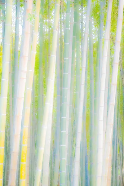 Abstract Background Bamboo Trunks Wallpaper Texture Bamboo Lot Plants — Stock Photo, Image