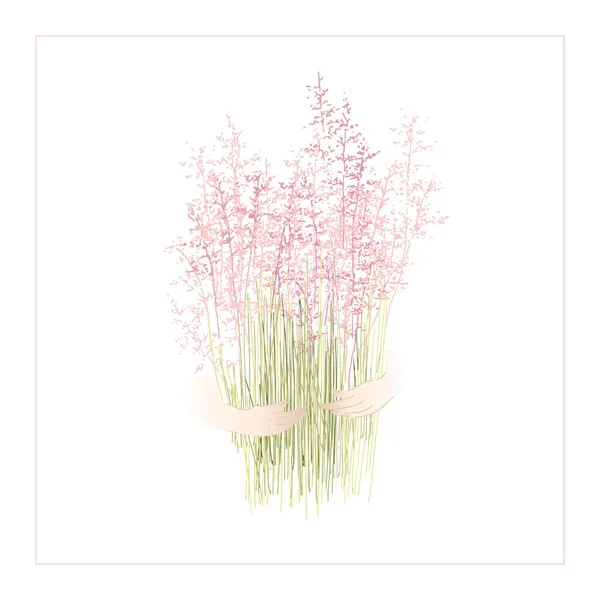 Mühlenbergia Gras Mit Rosa Blüten Südkorea Gartengetreidepflanzen Strauß Dekorativer Kräuter — Stockvektor