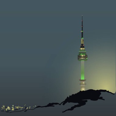  Seoul N-Tower.Mount Namsan. Sights of South Korea. Tourism in Asia. Night landscape. Observation deck