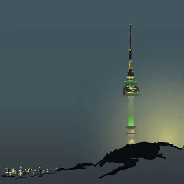 Seoul Tower Mount Namsan Sights South Korea Tourism Asia Night — 스톡 벡터