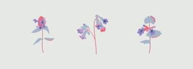 Leylak ormanı çiçekleri. Glechoma, Mint, Pulmonaria, Prunella. Otlak çimen bitkileri. Çiçek tasarımı. Modern renk düzeninde vektör çiçekler. Bahçe bitkisi. Botanik illüstrasyon